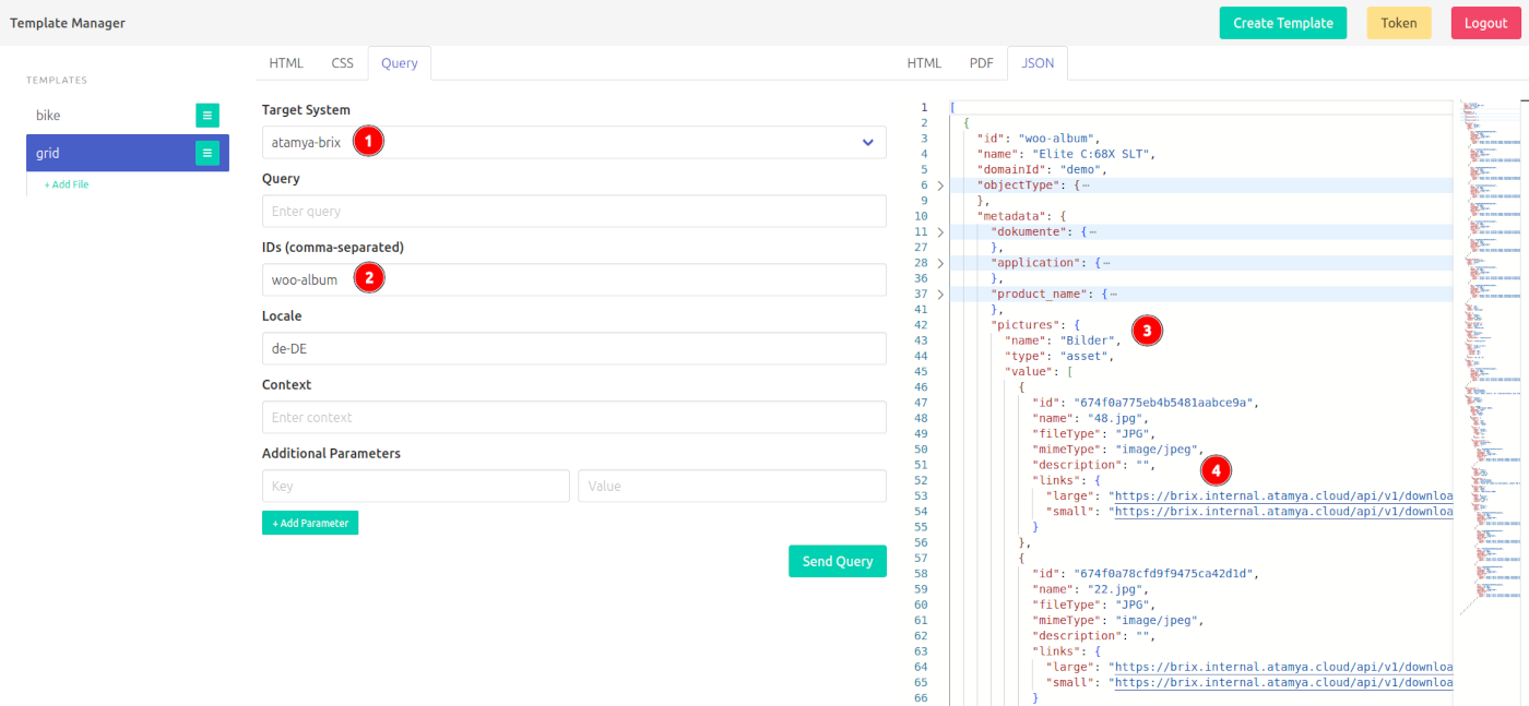 Screenshot of the query feature