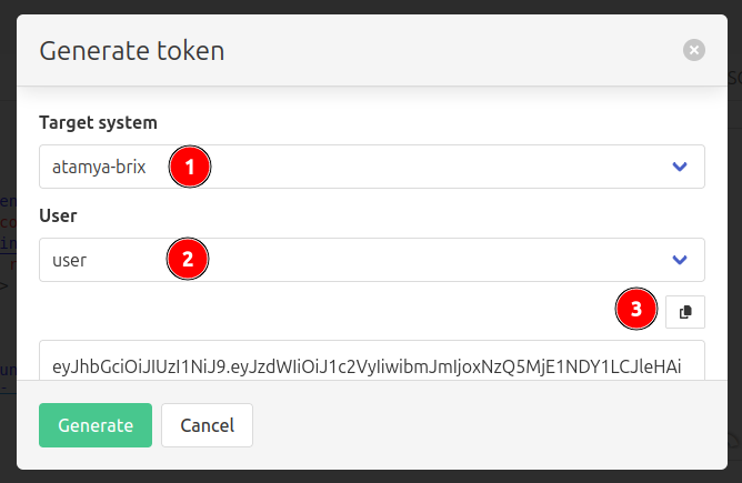 Screenshot of the token generator